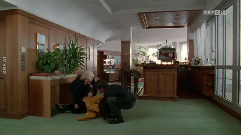 Кадры из сериала Комиссар Рекс (1994)