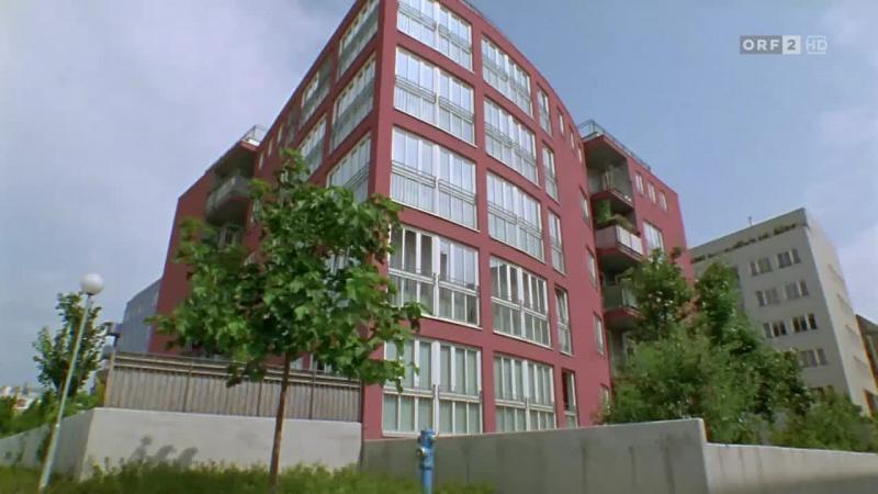 Кадры из сериала Комиссар Рекс (1994)