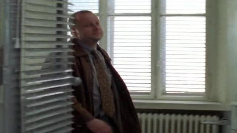 Кадры из сериала Комиссар Рекс (1994)