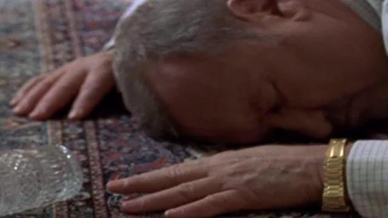 Кадры из сериала Комиссар Рекс (1994)