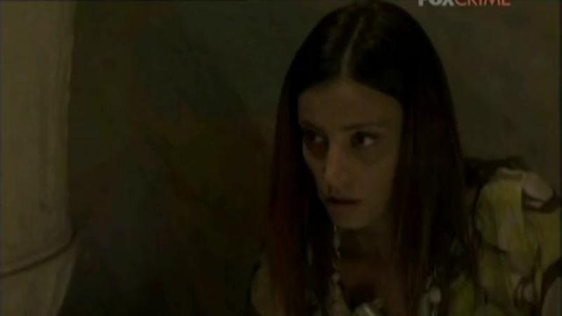 Кадры из сериала Комиссар Рекс (1994)