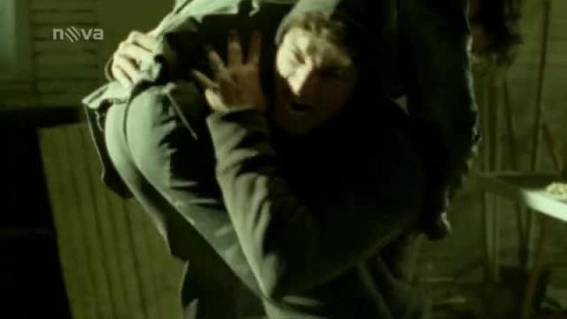 Кадры из сериала Комиссар Рекс (1994)