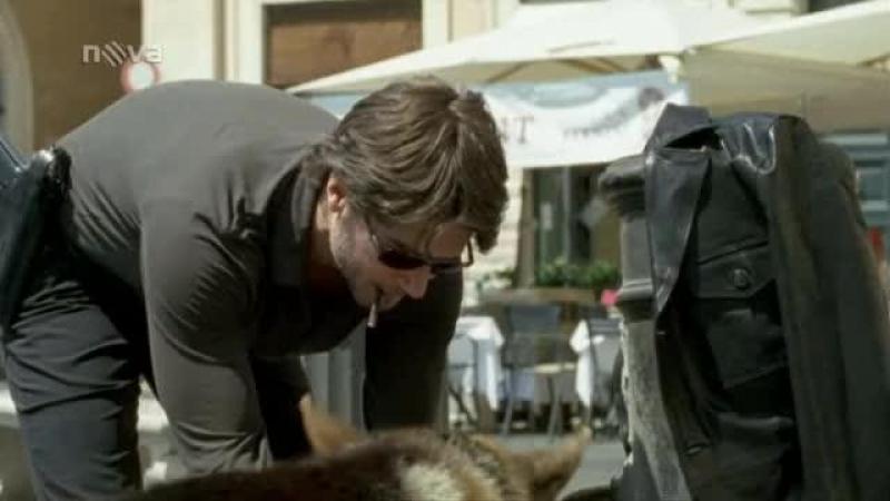 Кадры из сериала Комиссар Рекс (1994)